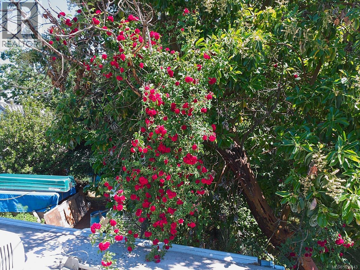 374 NICOL ST