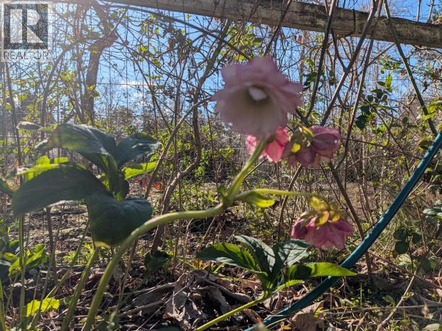 4649 CEDAR STREET TEXADA ISLAND home for sale