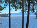 12369 SCOTCH FIR POINT RD Photo 7
