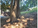 5334 COLEBORN STREET Photo 4