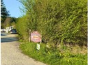 9298 WILLIAMS RD Photo 7