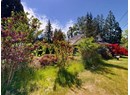 12123 SCOTCH FIR POINT RD Photo 10