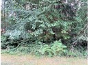 Lot 5 LEAPER ROAD Photo 4