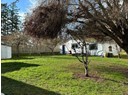 4573 SANDERSON ROAD Photo 7