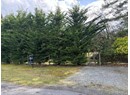3010 OAK STREET Photo 6