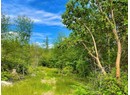 Lot 5 ATLIN AVE Photo 9