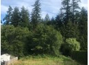 24 HARVIE AVE Photo 1