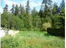 24 HARVIE AVE Photo 2