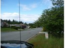 24 HARVIE AVE Photo 5