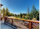 1587 BOAR'S NEST ROAD Photo 3
