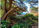 1442 TENNYSON RD Photo 4
