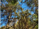 1442 TENNYSON RD Photo 5