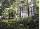 1276 SAVARY ISLAND RD Photo 3