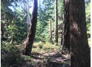 1276 SAVARY ISLAND RD Photo 4