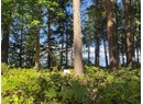 1276 SAVARY ISLAND RD Photo 5