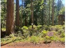 1276 SAVARY ISLAND RD Photo 6