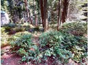 1349 VANCOUVER BLVD Photo 6