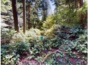 1349 VANCOUVER BLVD Photo 7