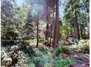 1349 VANCOUVER BLVD Photo 8