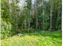 NOOTKA STREET Photo 3