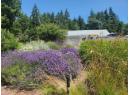 5667 GILLIES BAY RD ROAD Photo 3