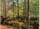1855 VANCOUVER BLVD Photo 6