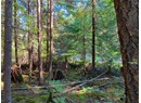 1855 VANCOUVER BLVD Photo 7
