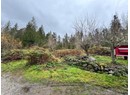 3024 PADGETT RD Photo 5