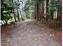 3024 PADGETT RD Photo 7