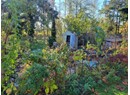 4649 CEDAR STREET Photo 8
