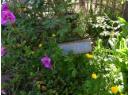 4810 SANDERSON ROAD Photo 8