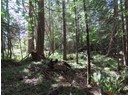 Lot M GILLIES BAY RD ROAD Photo 11