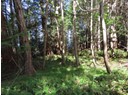 Lot M GILLIES BAY RD ROAD Photo 3