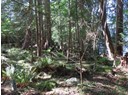 Lot M GILLIES BAY RD ROAD Photo 5