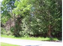 Lot M GILLIES BAY RD ROAD Photo 8