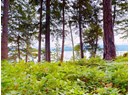 1508 SAVARY ISLAND ROAD Photo 1