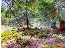 1508 SAVARY ISLAND ROAD Photo 10