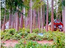 1508 SAVARY ISLAND ROAD Photo 12
