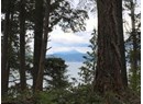 1508 SAVARY ISLAND ROAD Photo 2