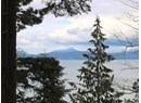 1508 SAVARY ISLAND ROAD Photo 4