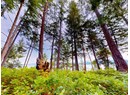 1508 SAVARY ISLAND ROAD Photo 5