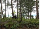 1508 SAVARY ISLAND ROAD Photo 7