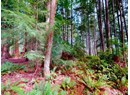 1508 SAVARY ISLAND ROAD Photo 8