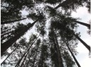 1508 SAVARY ISLAND ROAD Photo 9