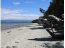 1824 VANCOUVER BLVD Photo 11