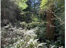 1824 VANCOUVER BLVD Photo 4