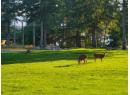 5205 GILLIES BAY ROAD Photo 9