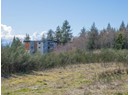 4893 FERNWOOD AVE Photo 8