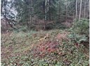 6906 CRANBERRY STREET Photo 4