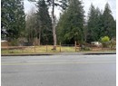 6906 CRANBERRY STREET Photo 5